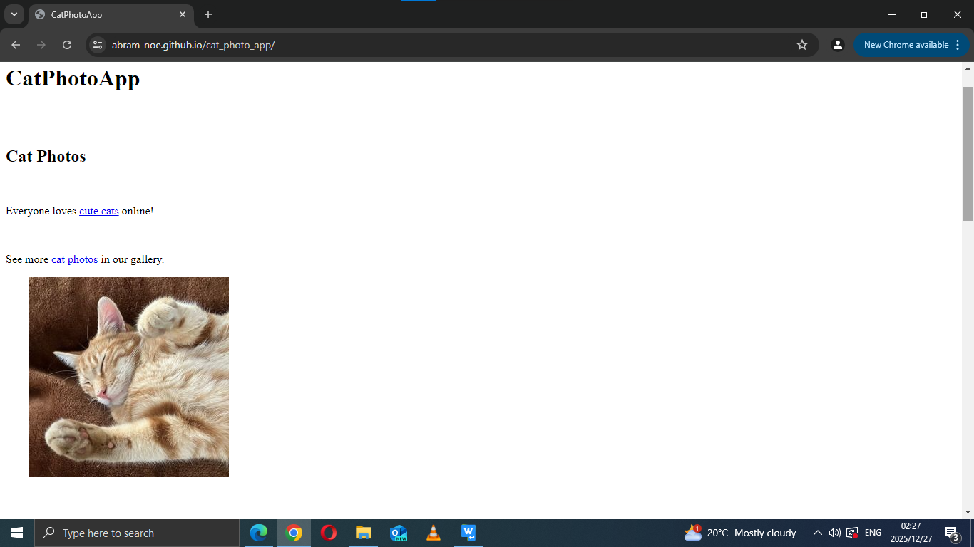 Cat Photo App Screenshot