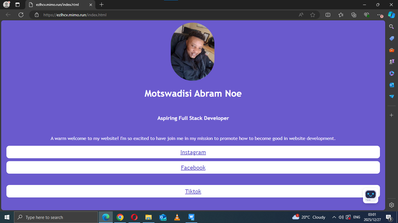 Portfolio Project Screenshot