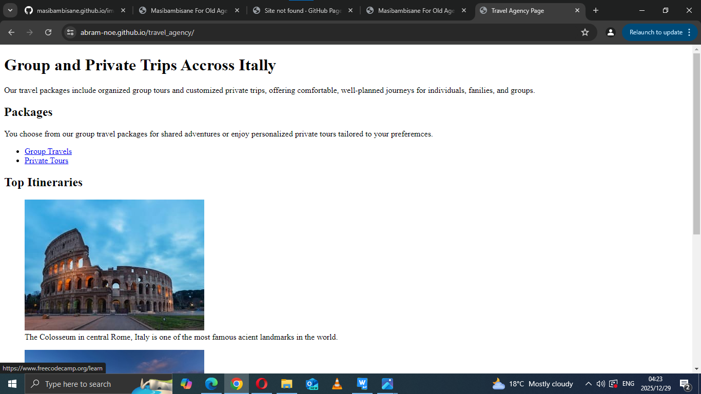 Travel Agency Screenshot
