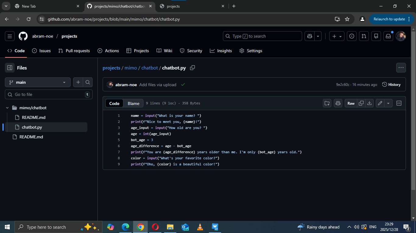 Chatbot Project Screenshot